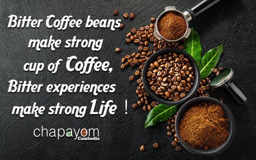 FRANCHISE CHAPAYOM CAMBODIA