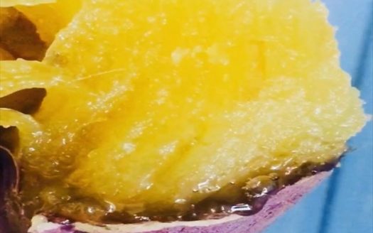 Japanese sweet potato brand franchise opportunity available NOW